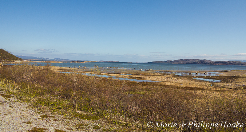 Stabburness 1172.jpg - Au bord du Porsangerfjord (Norvège, juin 2012)